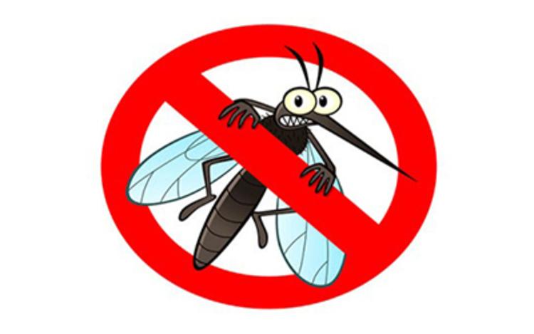 Avviso sui risultati della procedura di affidamento: servizio di bio disinfestazione per il contenimento delle zanzare e per la riduzione della proliferazione incontrollata di specie infestanti, per l'anno 2023 - cig: 9566615c6e