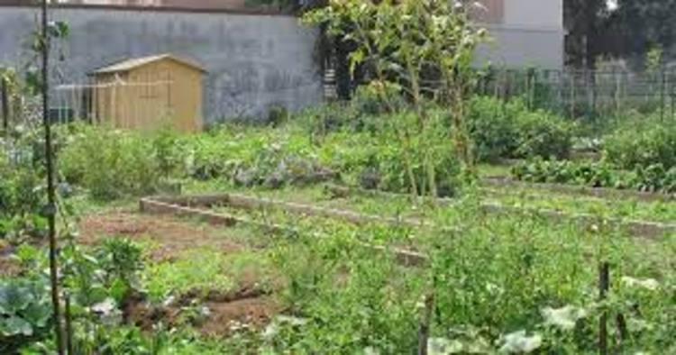 Avviso sui risultati della procedura di affidamento: lavori di manutenzione straordinaria degli orti urbani di via asti - cig 9560894b50