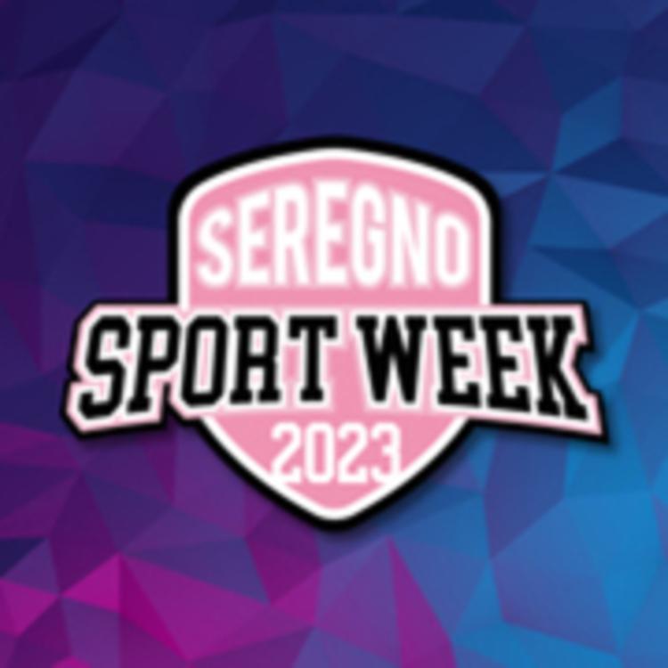 Avviso sui risultati della procedura di affidamento: affidamento delle attività di allestimento e gestione del campo da padel e del villaggio ludico-sportivo per bambini all'interno dell'evento seregno sport week 2023. cig: 96516097b4.