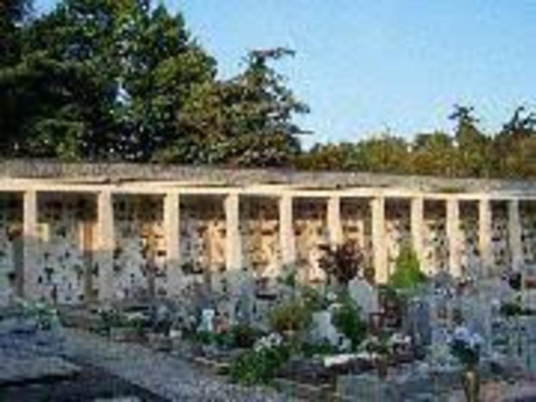 Gara europea a procedura aperta: affidamento dei servizi cimiteriali  e servizi/lavori a supporto della funzionalità dei cimiteri cittadini - durata anni 3. cig: 93377288e8